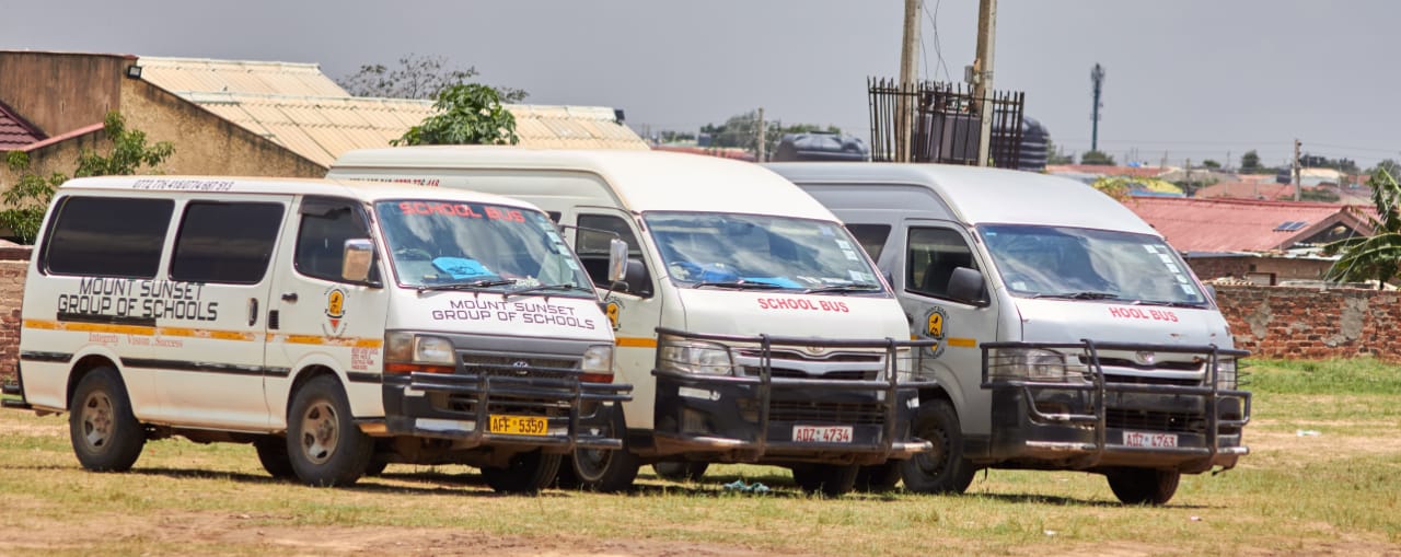 Fleet of school buses